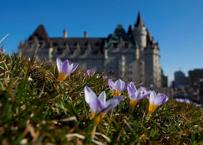 Heritage society denounces Chateau Laurier redesign as "heritage vandalism" | iNFOnews.ca