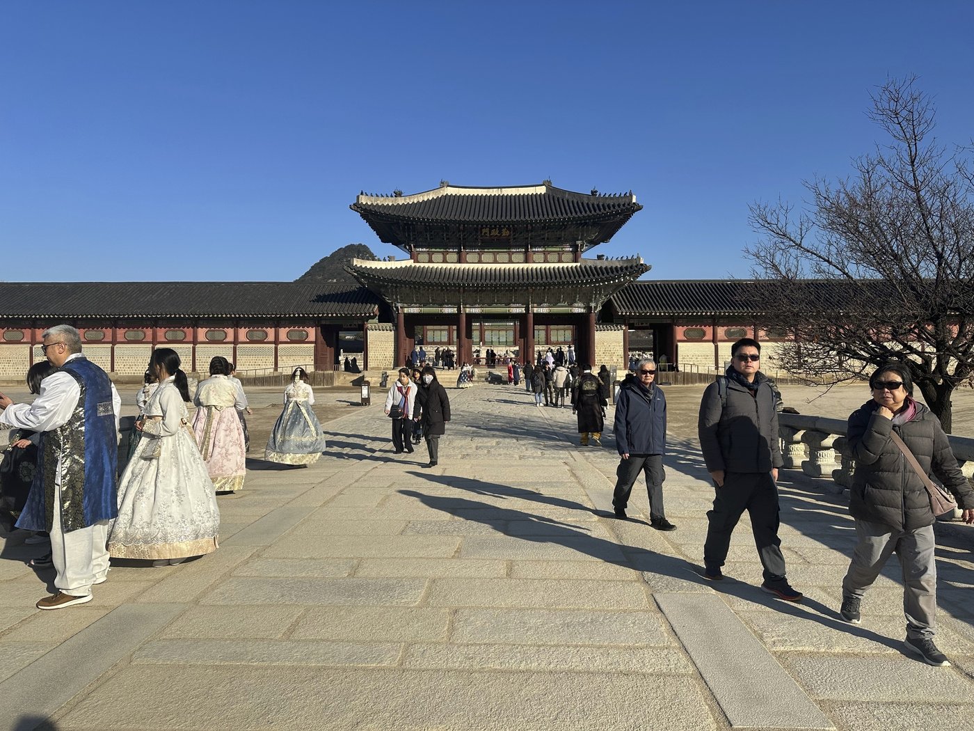 Zealous tourists are unfazed by South Korea's sudden martial law turmoil | iNFOnews.ca