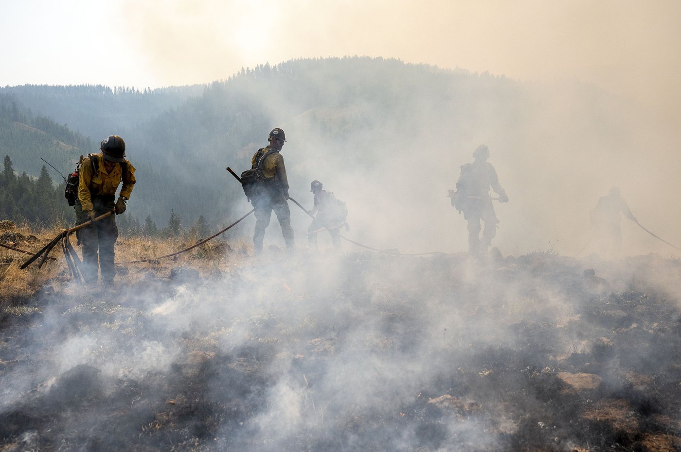 Lawyer: Oregon firefighter arrested by Border Patrol during wildfire was on track for legal status | iNFOnews.ca Lawyer: Oregon firefighter arrested by Border Patrol during wildfire was on track for legal status | iNFOnews.ca