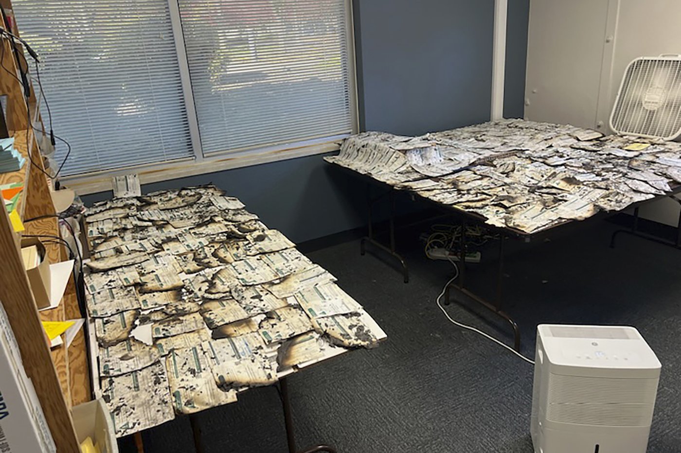 1 county each in Oregon, Washington report issues with US Postal Service not delivering ballots | iNFOnews.ca