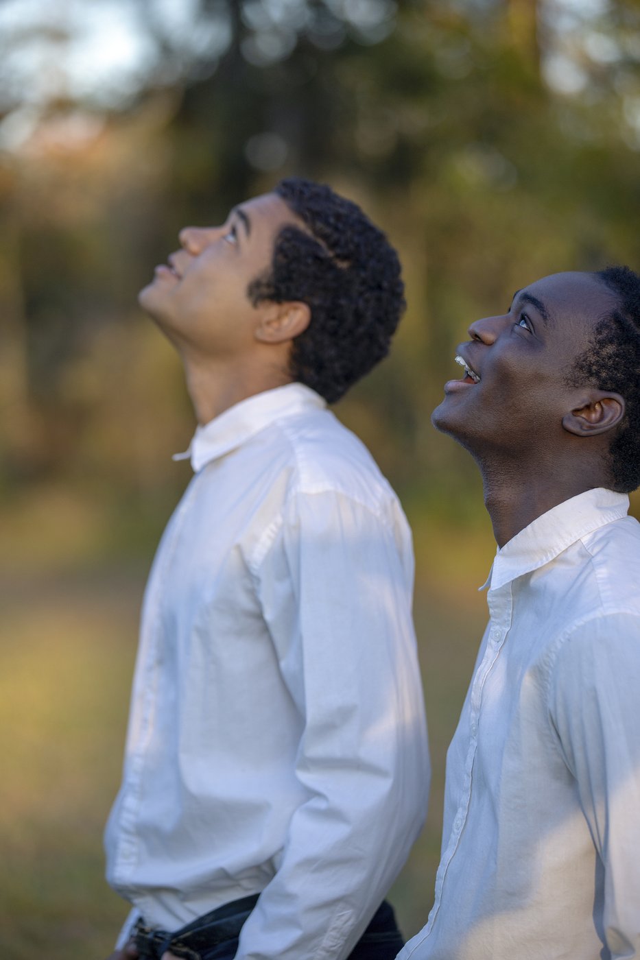At the New York Film Festival, an art form at play | iNFOnews.ca