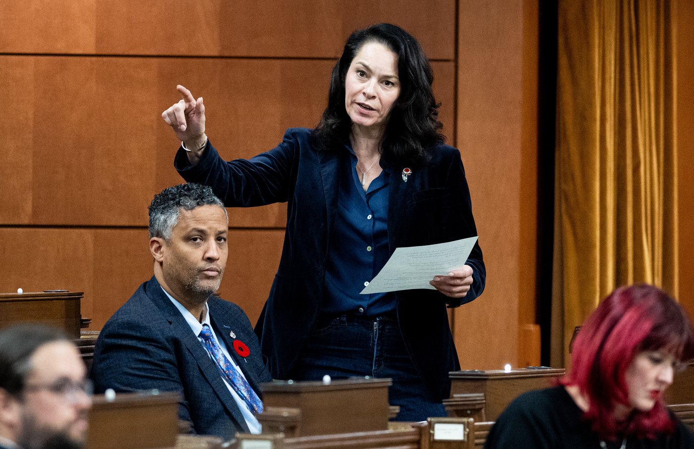 MP Heather McPherson launches NDP leadership bid | iNFOnews.ca