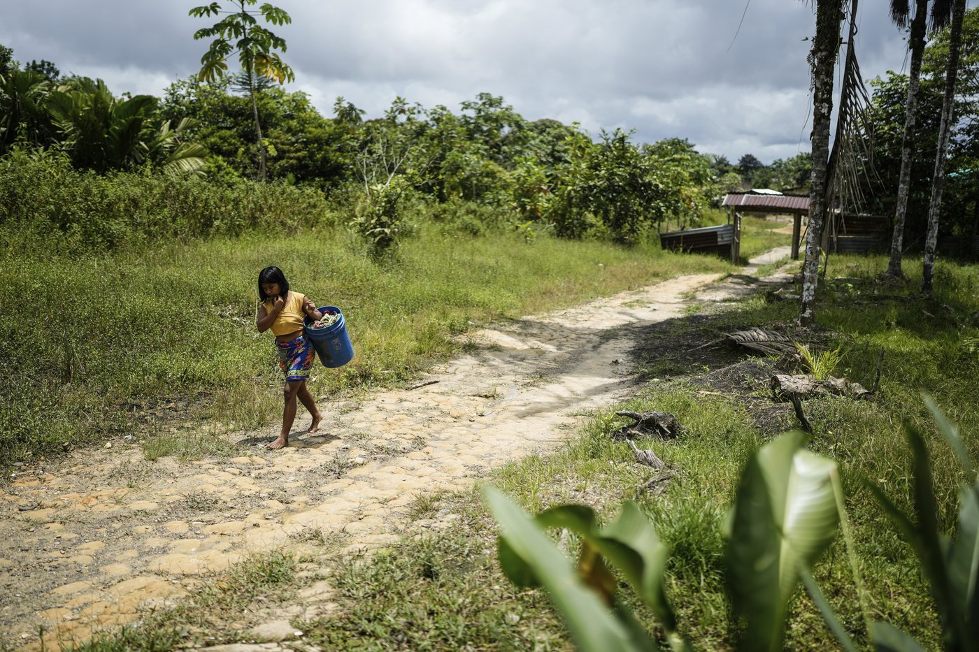 Afro-Colombians fight the effects of gold mining through biodiversity projects in a violent region | iNFOnews.ca Afro-Colombians fight the effects of gold mining through biodiversity projects in a violent region | iNFOnews.ca