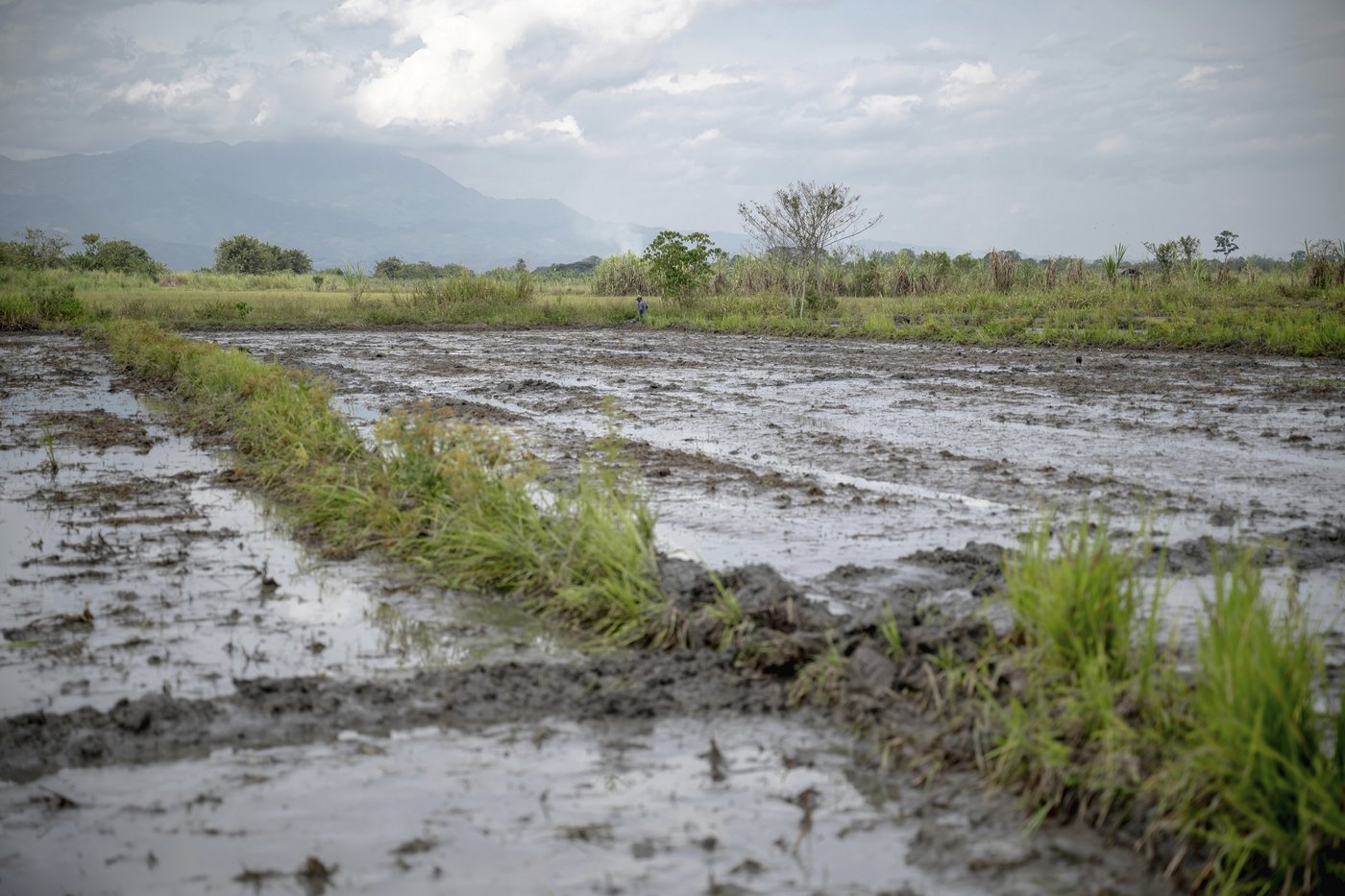 After taking back land in Colombia, Indigenous prepare their youth to safeguard it | iNFOnews.ca After taking back land in Colombia, Indigenous prepare their youth to safeguard it | iNFOnews.ca