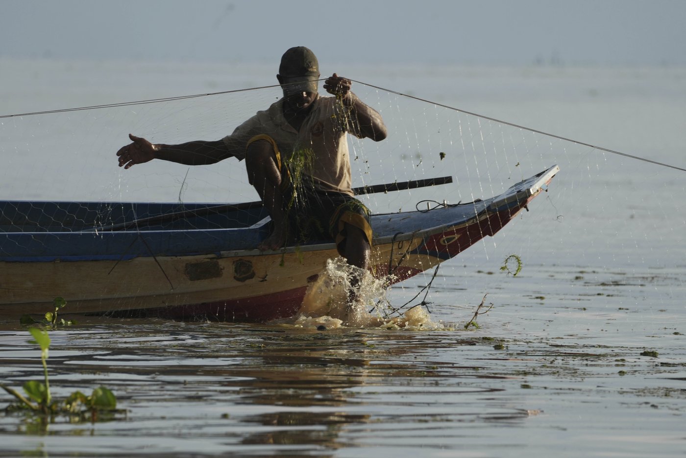Cambodian fishermen turn to raising eels as Tonle Sap lake runs out of fish | iNFOnews.ca Cambodian fishermen turn to raising eels as Tonle Sap lake runs out of fish | iNFOnews.ca
