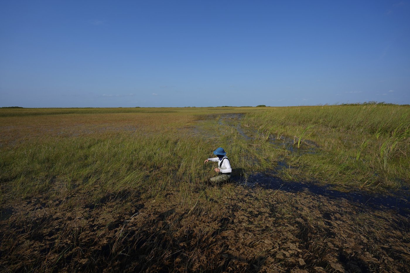In Florida, a race is on to save the Everglades and protect a key source of drinking water | iNFOnews.ca In Florida, a race is on to save the Everglades and protect a key source of drinking water | iNFOnews.ca