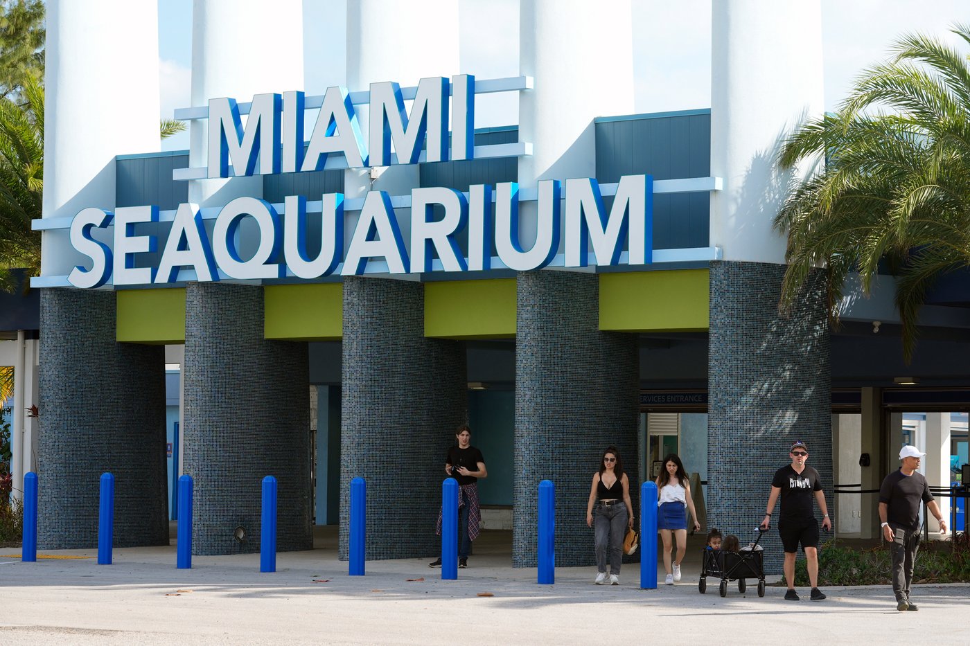 The cherished and controversial Miami Seaquarium closes its doors | iNFOnews.ca