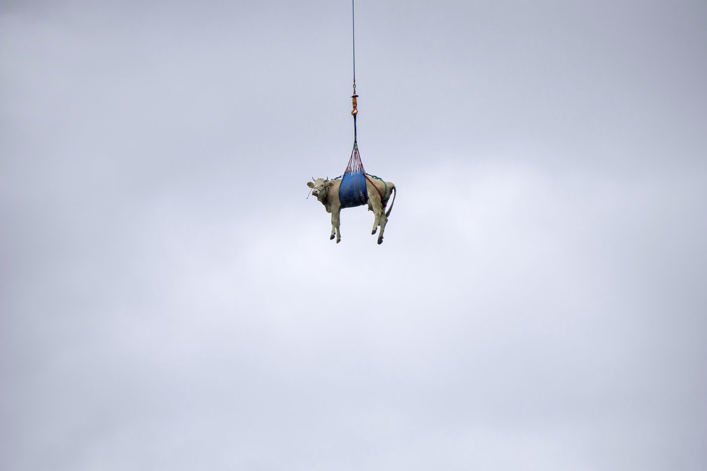Swiss evacuate livestock by hoof and helicopter because of landslide risk over Alpine village | iNFOnews.ca Swiss evacuate livestock by hoof and helicopter because of landslide risk over Alpine village | iNFOnews.ca