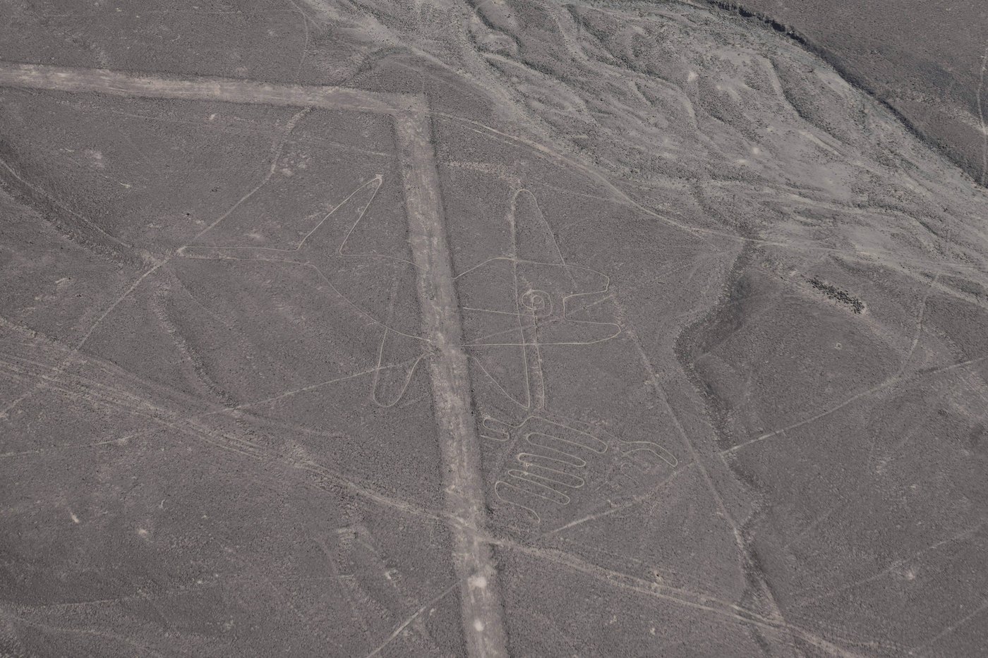 Peru reinstates full protection of Nazca Lines reserve after controversial cutback | iNFOnews.ca