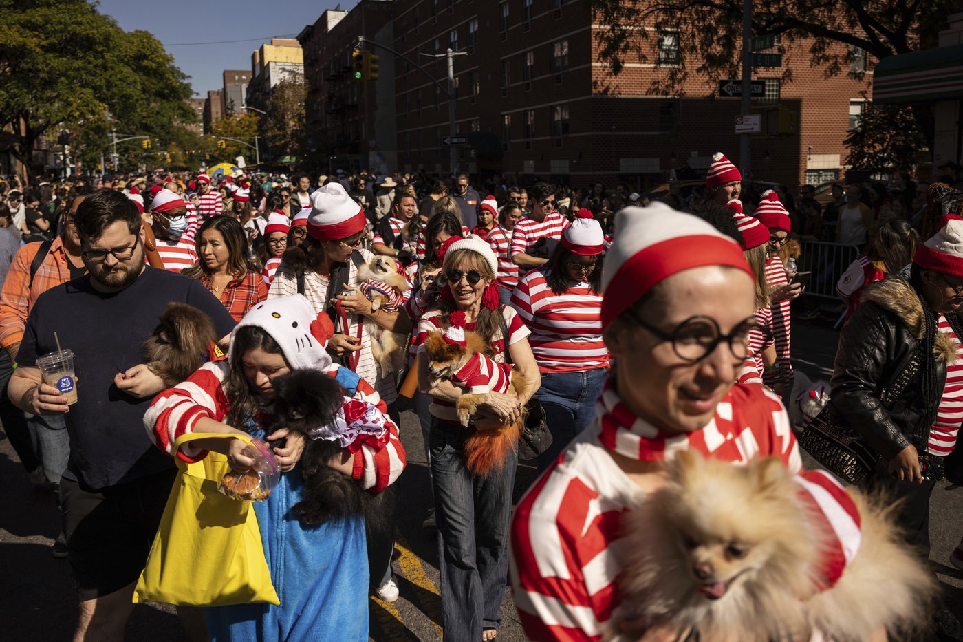 Pups on parade: Dogs dressed to the nines for annual New York City Halloween event | iNFOnews.ca