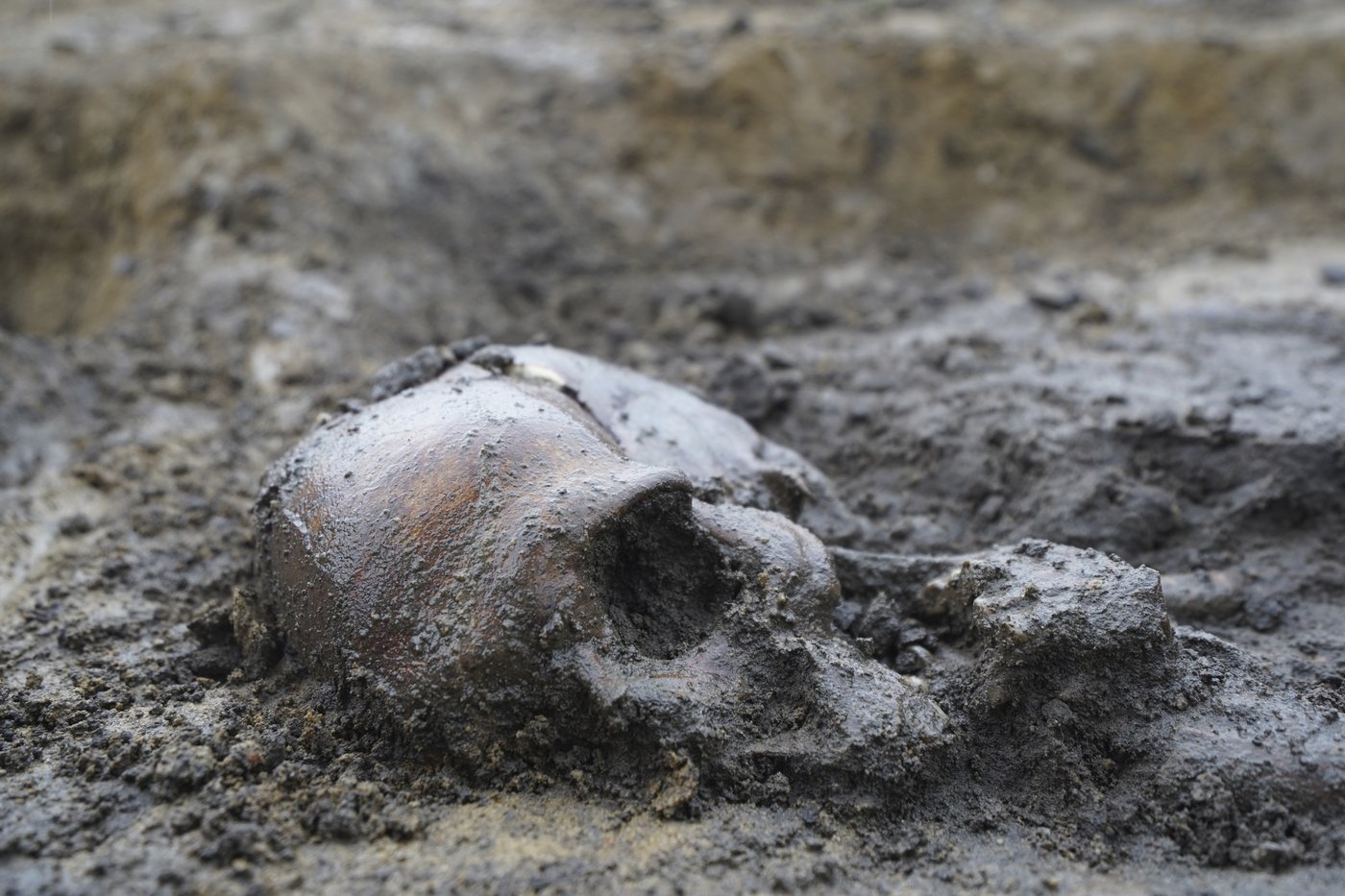 50 well-preserved Viking Age skeletons unearthed in Denmark | iNFOnews.ca 50 well-preserved Viking Age skeletons unearthed in Denmark | iNFOnews.ca