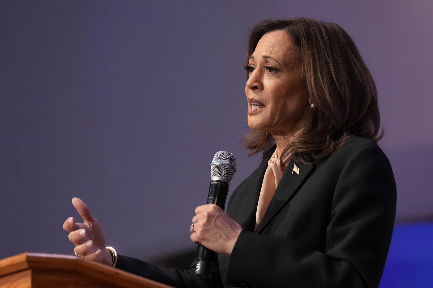 Harris seeks to win over Republicans uneasy about Trump with visits to Midwestern suburbs | iNFOnews.ca Harris seeks to win over Republicans uneasy about Trump with visits to Midwestern suburbs | iNFOnews.ca