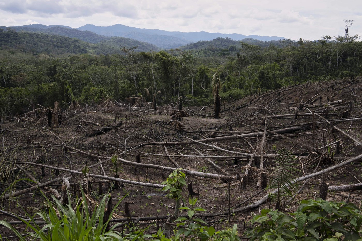 Cuts to USAID severed longstanding American support for Indigenous people around the world | iNFOnews.ca