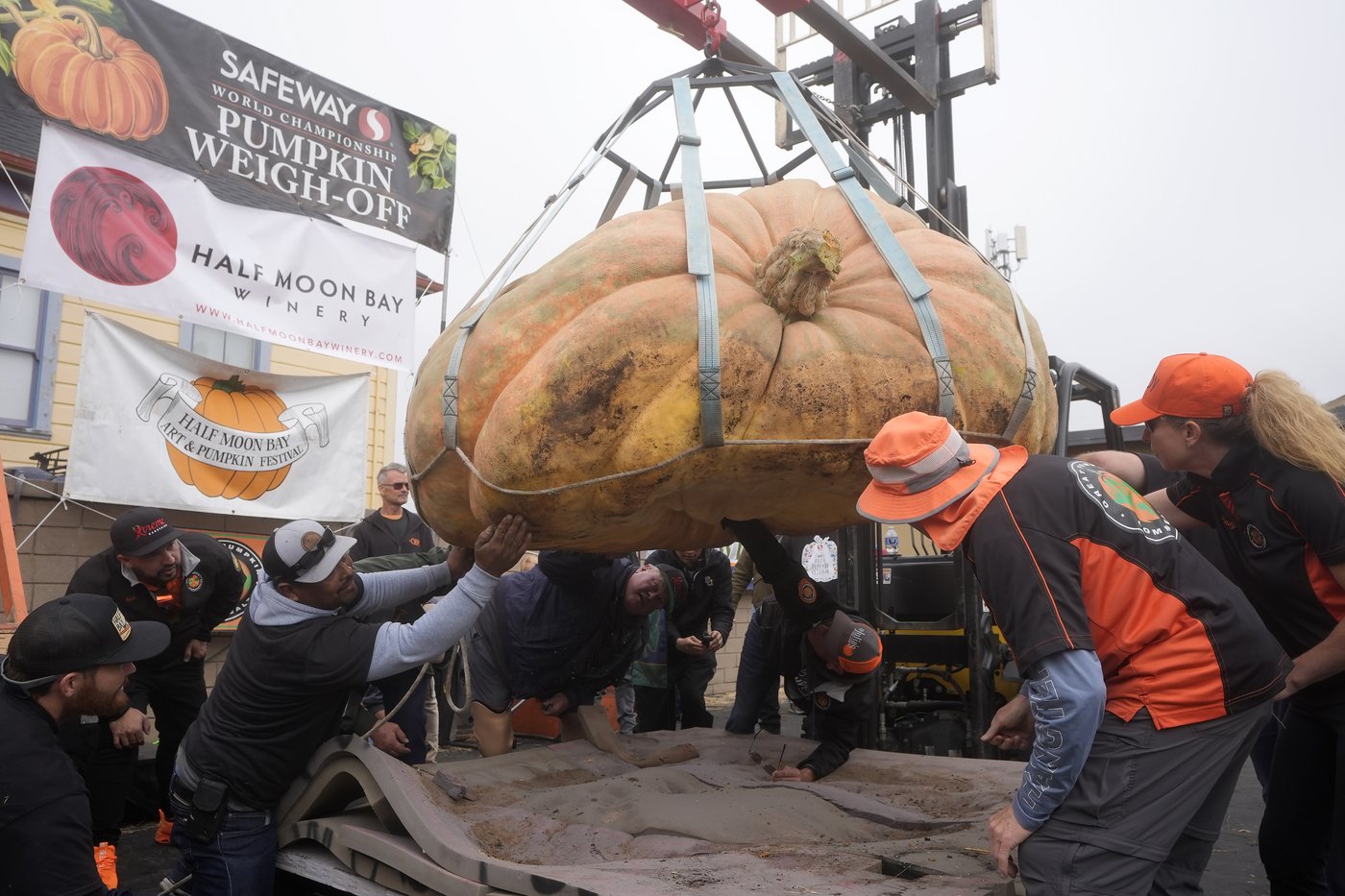 Pumpkin weighing 2,471 pounds wins California contest | iNFOnews.ca Pumpkin weighing 2,471 pounds wins California contest | iNFOnews.ca