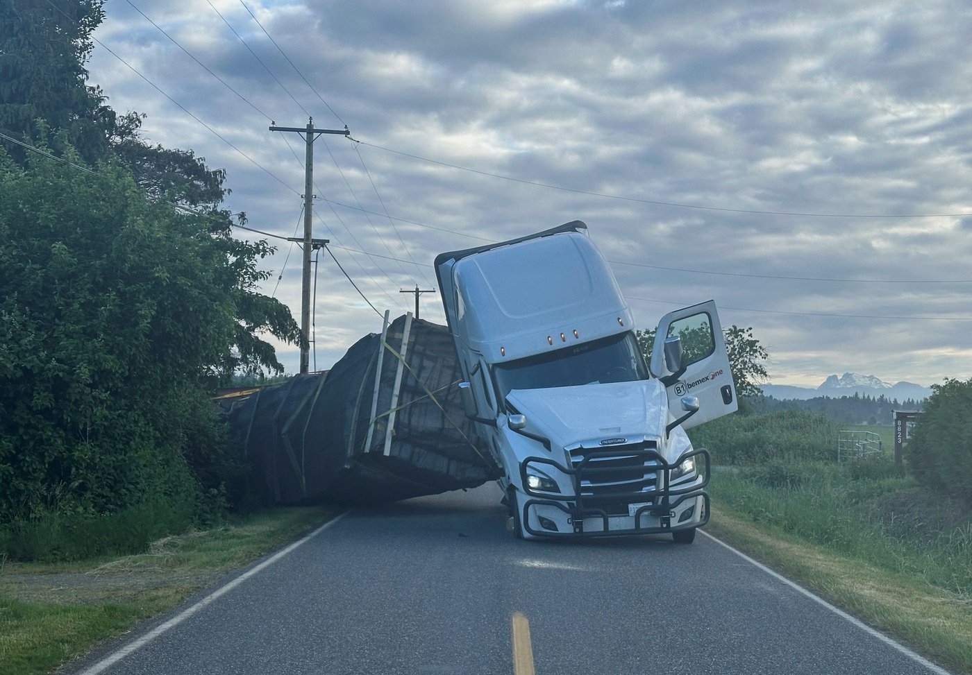 Millions of honeybees abuzz after truck overturns in Washington state | iNFOnews.ca