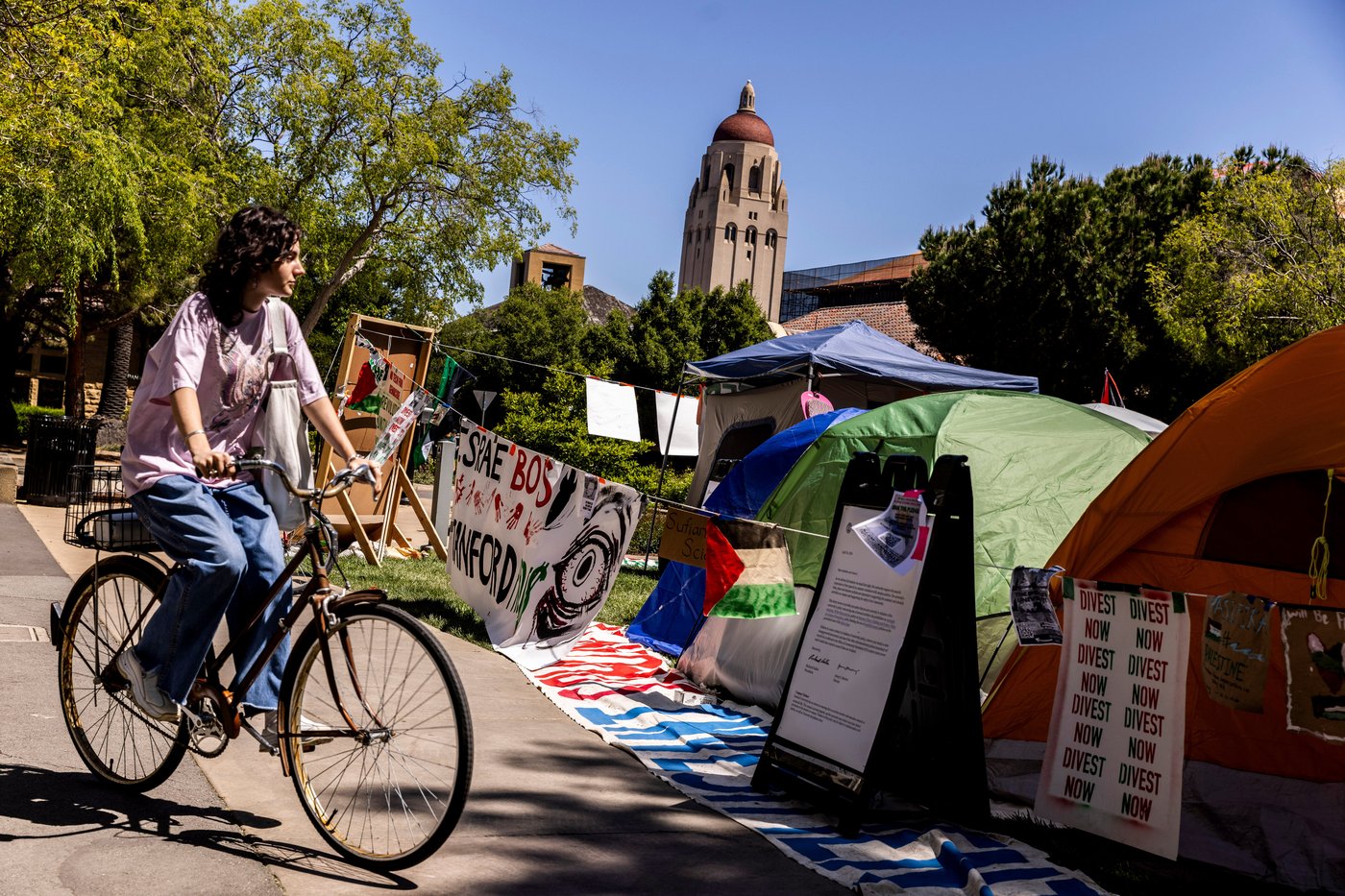 Pro-Palestinian demonstrators who occupied Stanford building are arraigned | iNFOnews.ca Pro-Palestinian demonstrators who occupied Stanford building are arraigned | iNFOnews.ca