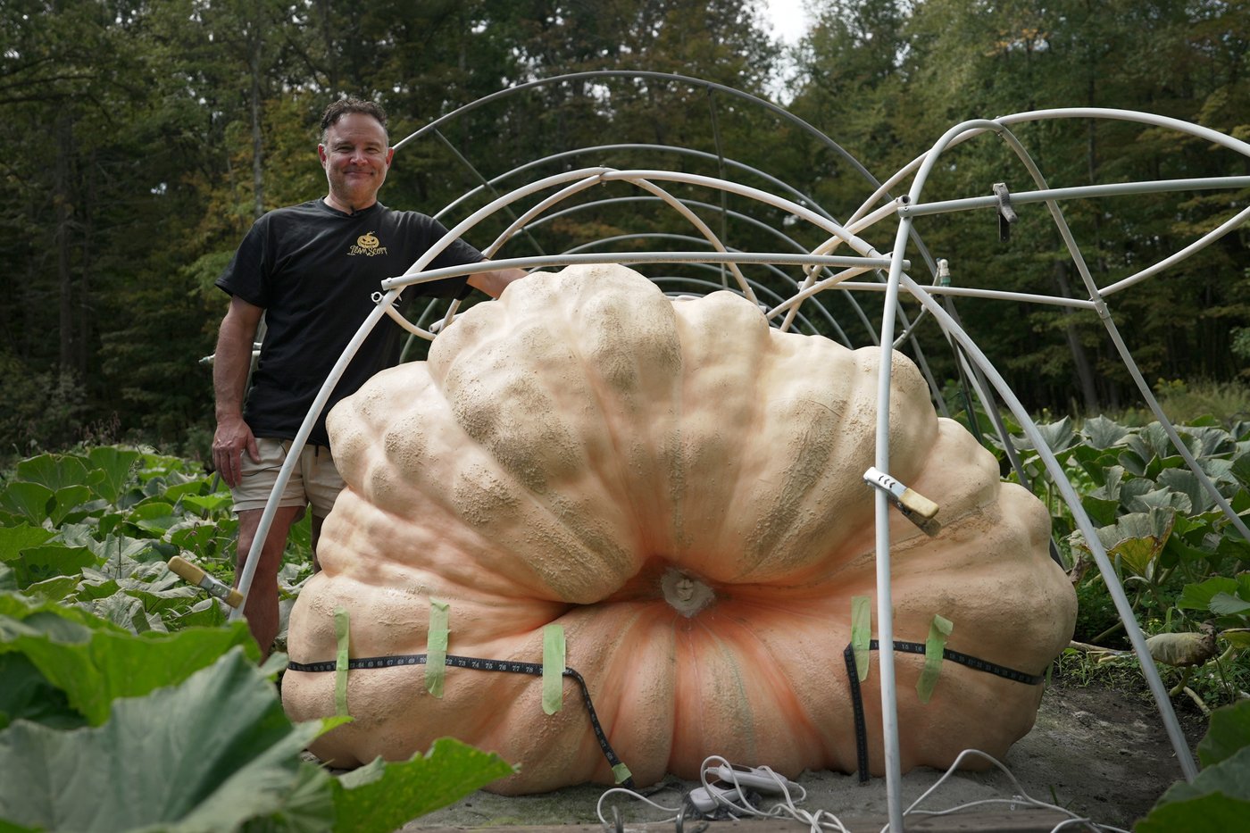 How to grow a giant pumpkin, with help from science | iNFOnews.ca