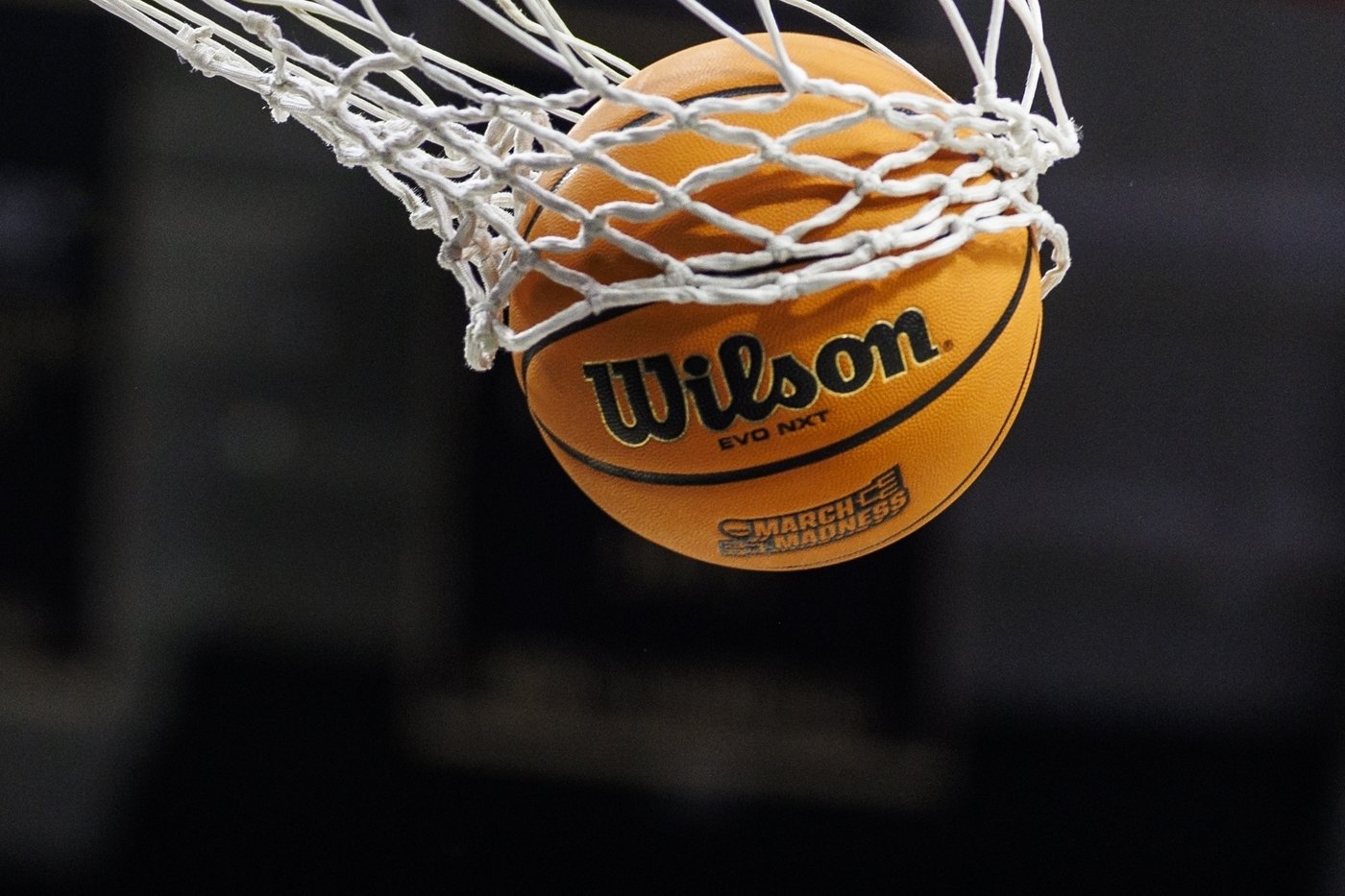 NCAA names Samford's Martin Newton and BYU's Liz Darger as 2026-27 basketball committee chairs | iNFOnews.ca NCAA names Samford's Martin Newton and BYU's Liz Darger as 2026-27 basketball committee chairs | iNFOnews.ca