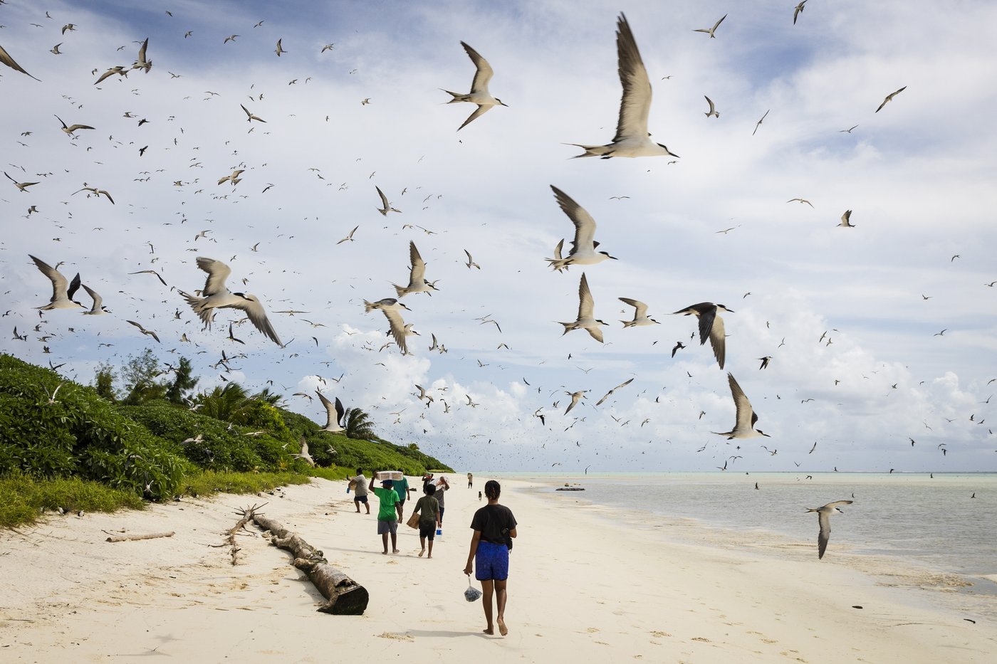 Palau’s vibrant Helen Reef is a magnet for poachers. These rangers keep it safe | iNFOnews.ca