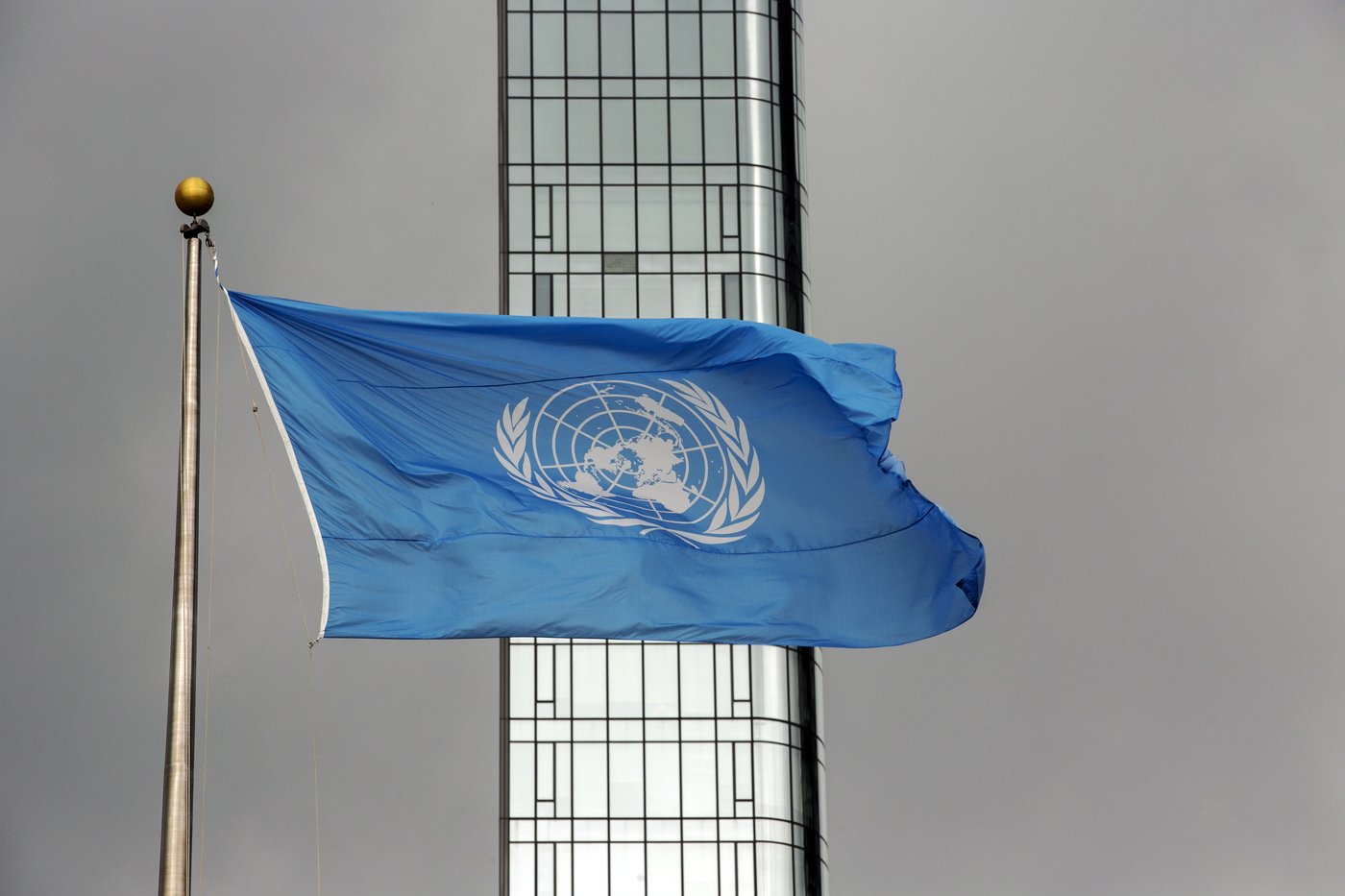 Taliban investigating death threats against United Nations' Afghan female staff, report says | iNFOnews.ca Taliban investigating death threats against United Nations' Afghan female staff, report says | iNFOnews.ca
