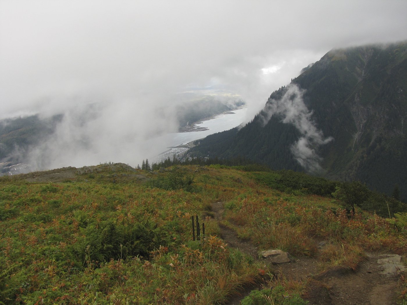 A Texas man on a cruise to Alaska is dead after falling from a trail during a hike, authorities say | iNFOnews.ca