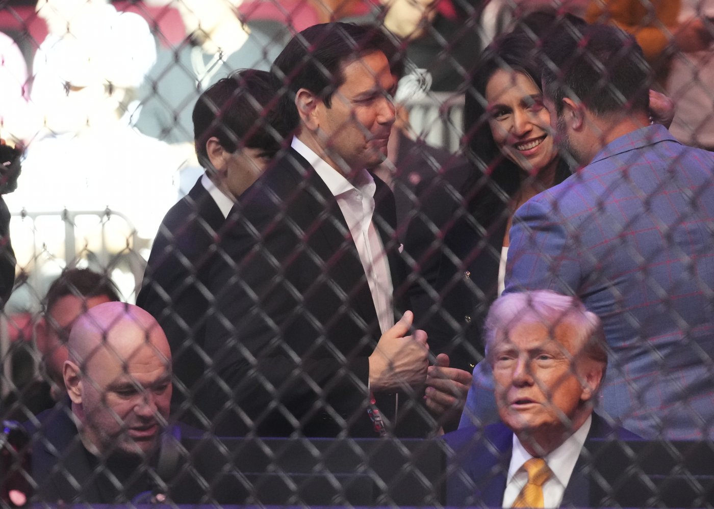 Trump sits cageside at Miami UFC event in his latest appearance at a sports event | iNFOnews.ca