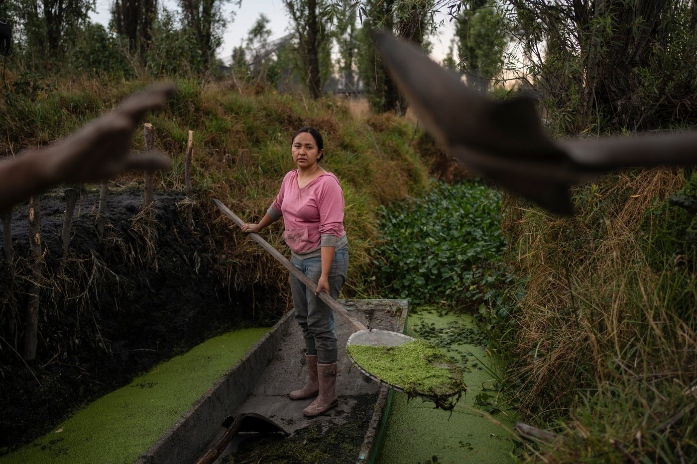 Women in Mexico step up to protect ancient Aztec farms and save a vanishing ecosystem | iNFOnews.ca