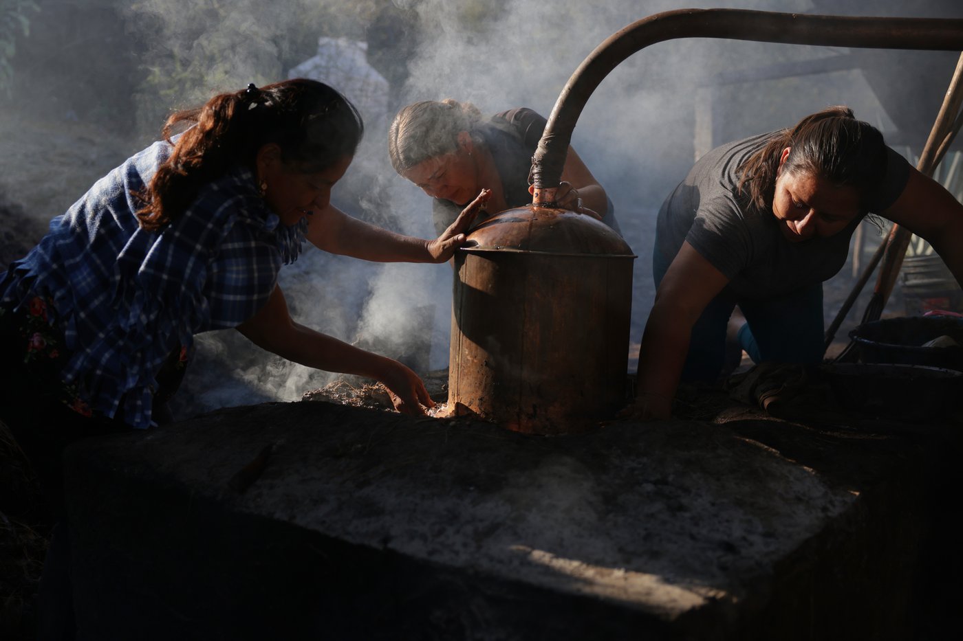 Mezcal's popularity is booming in the US. That comes with a growing environmental cost in Mexico | iNwine Mezcal's popularity is booming in the US. That comes with a growing environmental cost in Mexico | iNwine