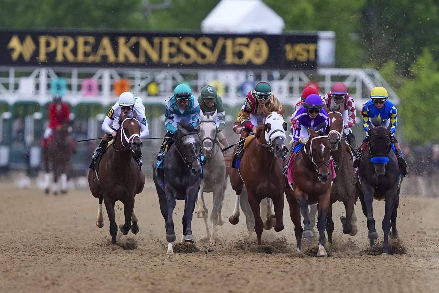 Hall of Famers Bob Baffert and D. Wayne Lukas watch horses get troubled trips in the Preakness | iNFOnews.ca