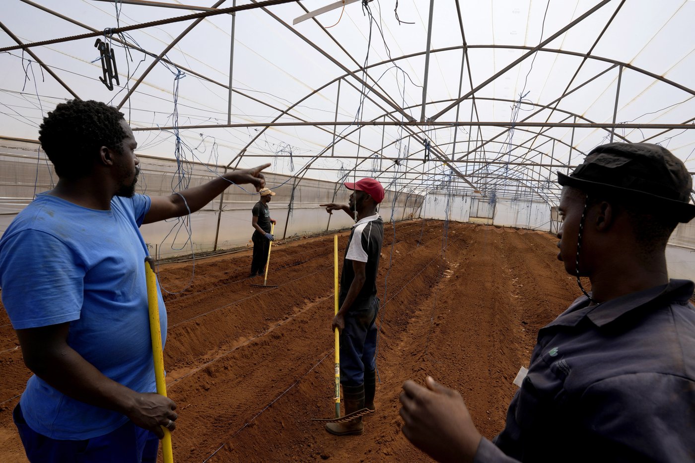 A farming project in South Africa is helping deaf people build skills and find jobs | iNFOnews.ca A farming project in South Africa is helping deaf people build skills and find jobs | iNFOnews.ca