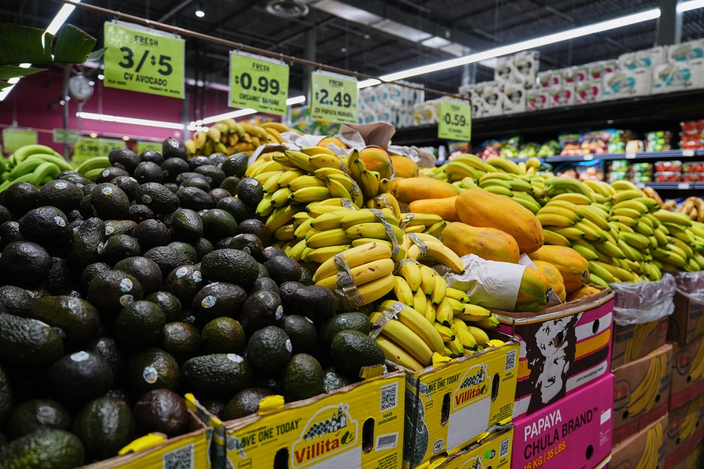 SNAP has provided grocery help for 60-plus years; here's how it works | iNFOnews.ca
