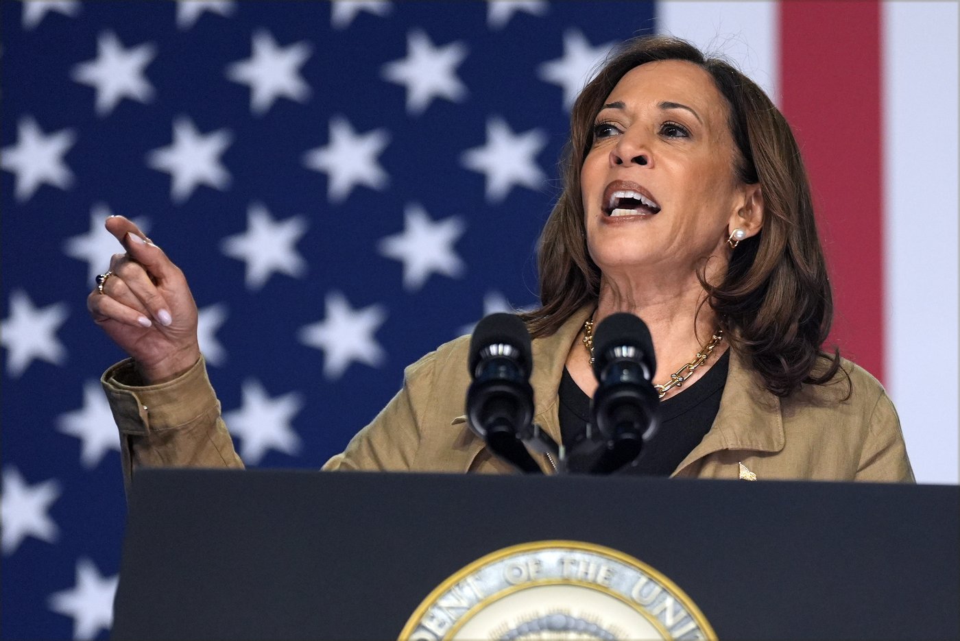 Harris walks fence at US-Mexico border as she works to project tougher stance on migration | iNFOnews.ca