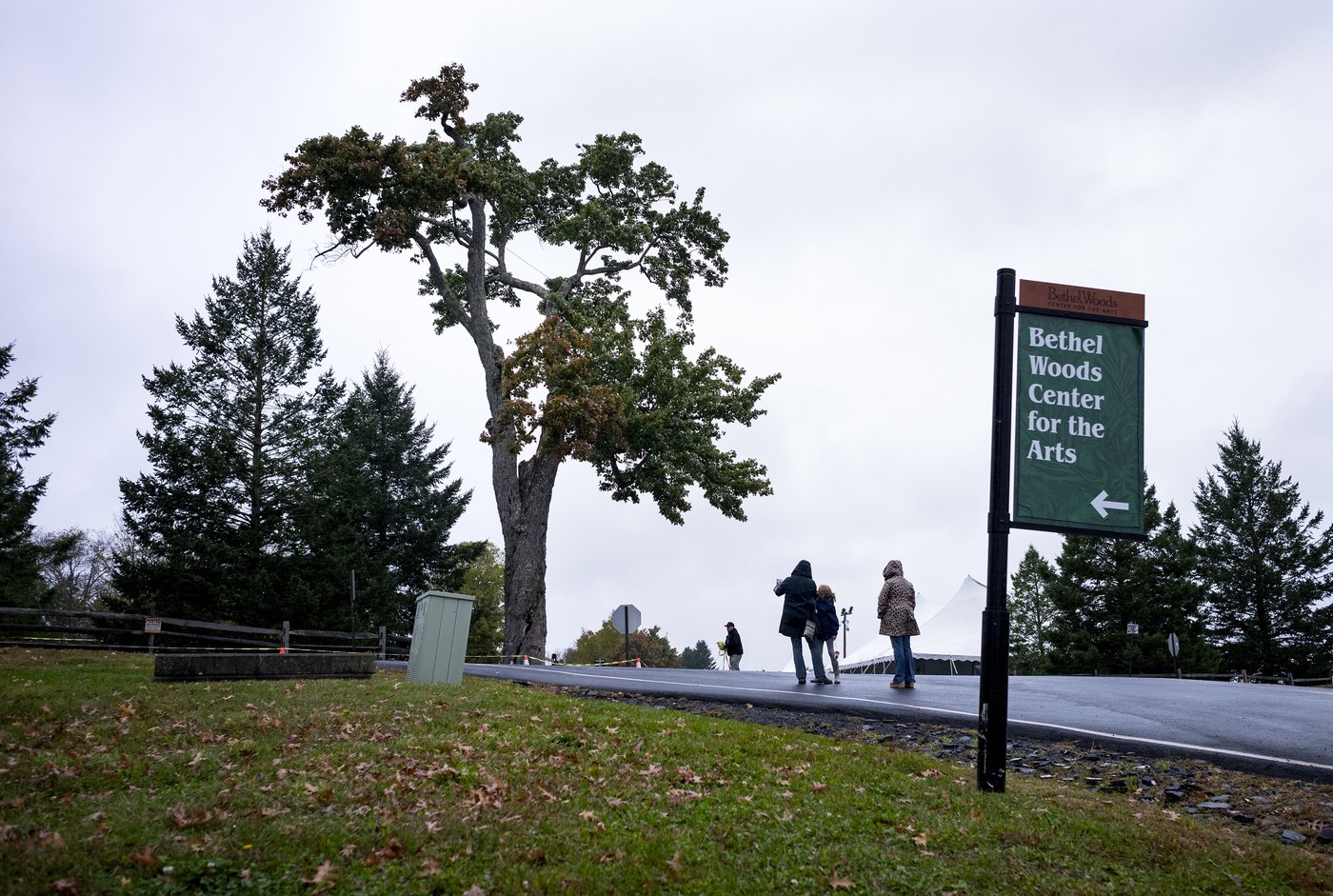 Aging and ailing, 'Message Tree' at Woodstock concert site is reluctantly cut down | iNFOnews.ca