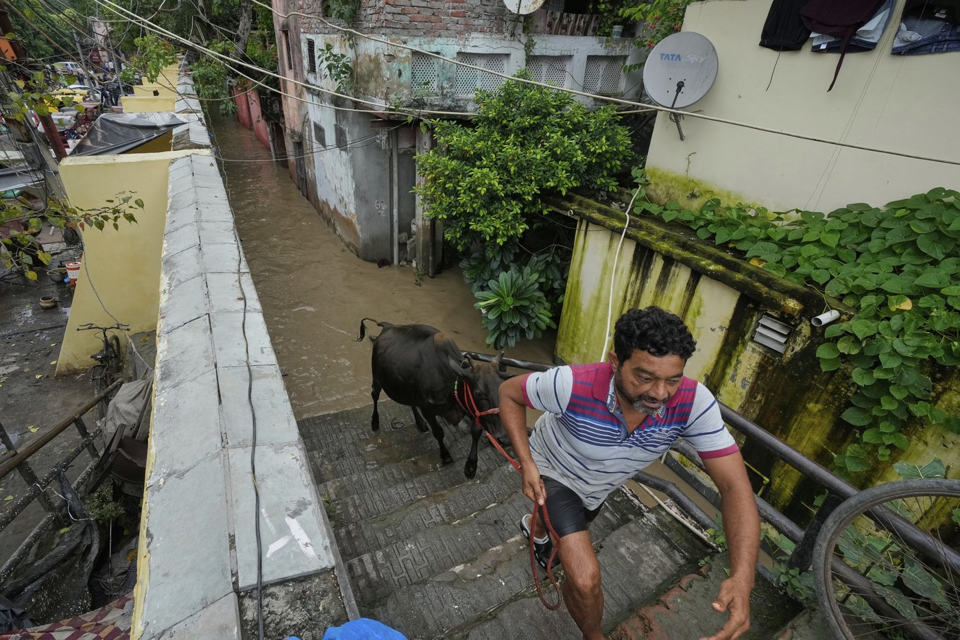 Photos of New Delhi residents on the swollen banks of the Yamuna River | iNFOnews.ca
