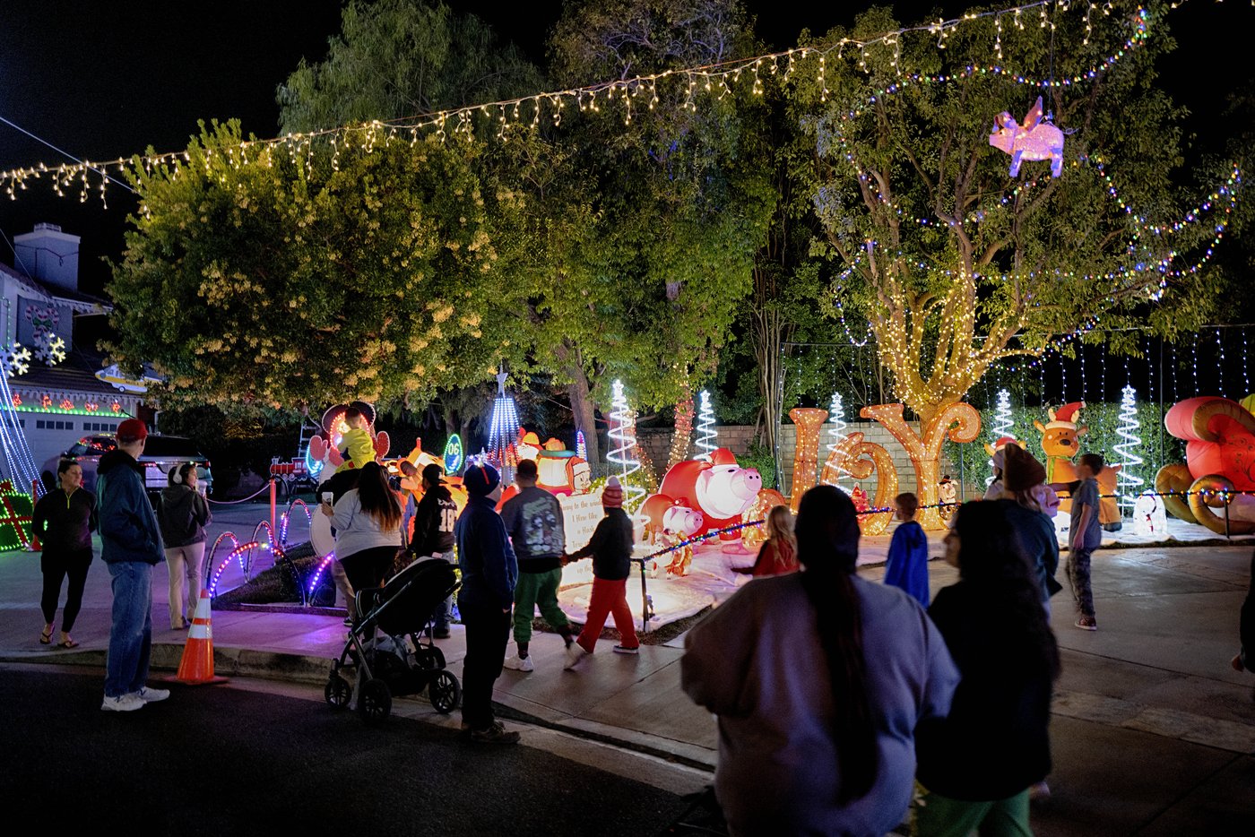 Elaborate holiday light displays are making spirits bright in a big way | iNFOnews.ca