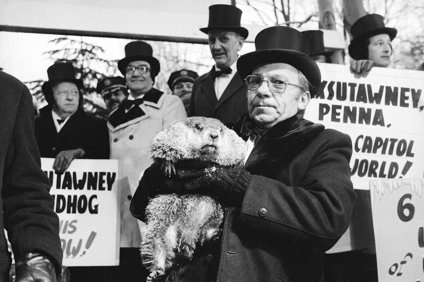 Beneath the surface, Groundhog Day's deep roots predate Punxsutawney Phil | iNFOnews.ca