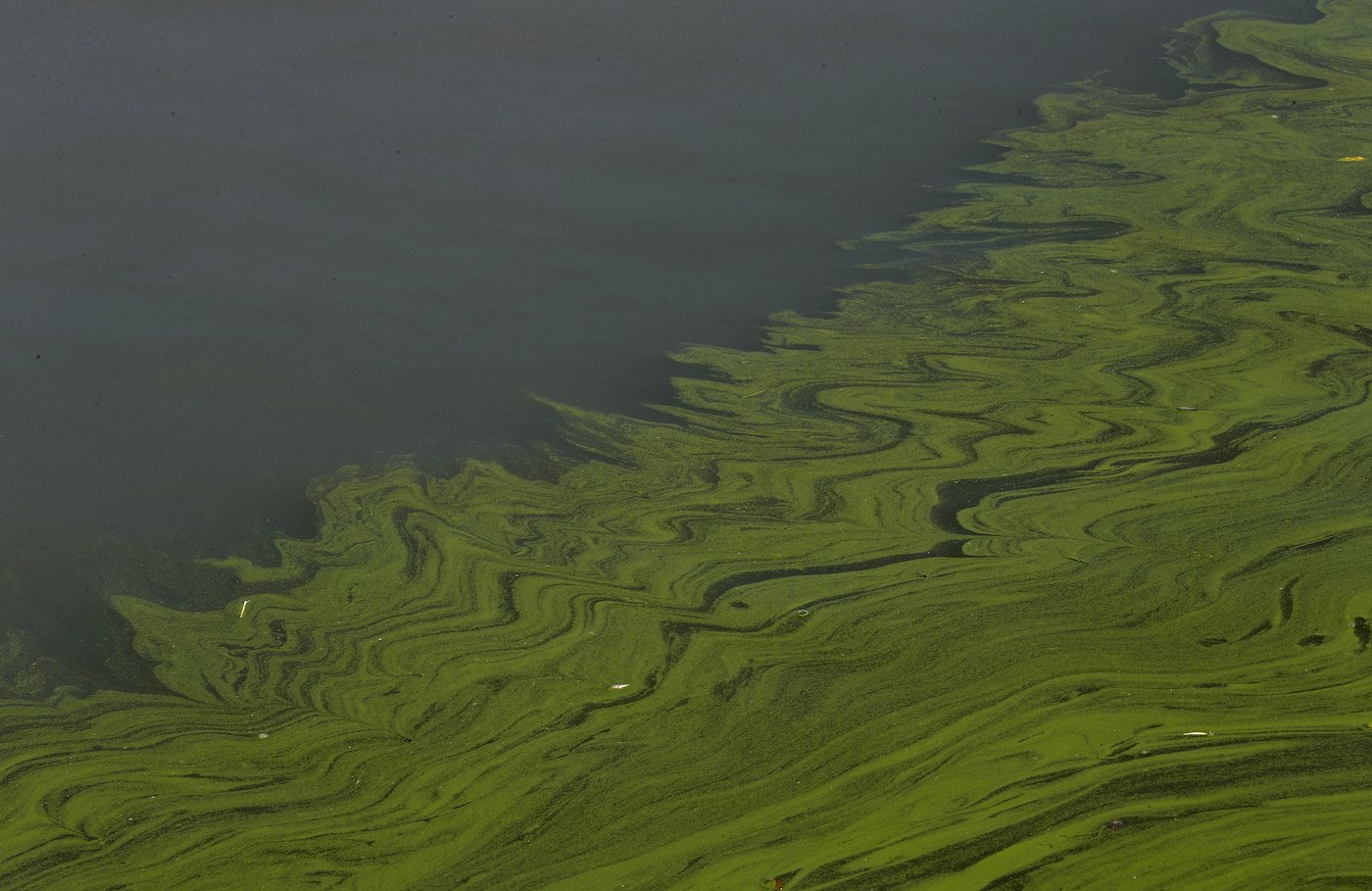 Push to map Great Lakes bottom gains momentum amid promises effort will help fishing and shipping | iNFOnews.ca Push to map Great Lakes bottom gains momentum amid promises effort will help fishing and shipping | iNFOnews.ca