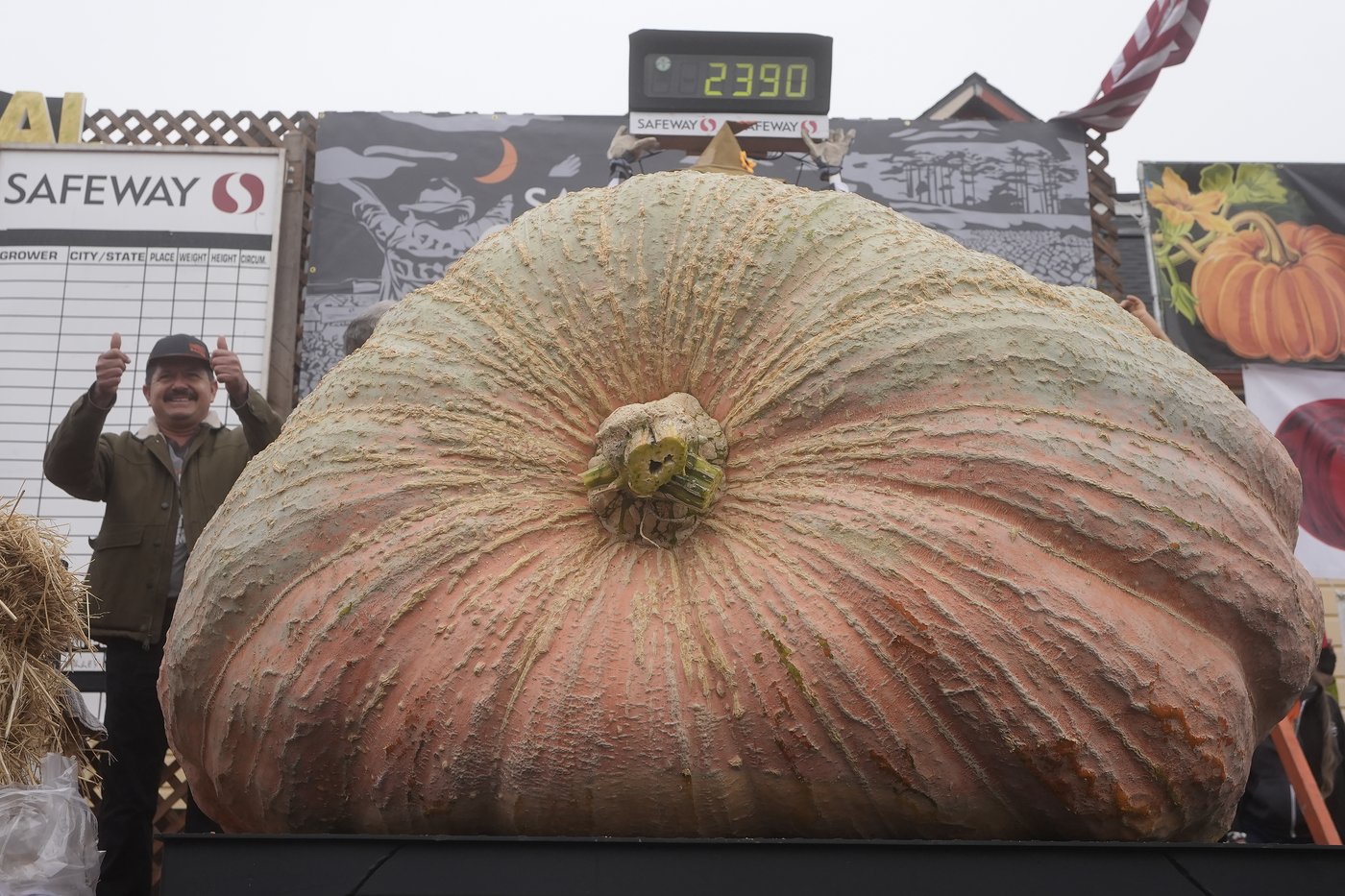 Pumpkin weighing 2,471 pounds wins California contest | iNFOnews.ca Pumpkin weighing 2,471 pounds wins California contest | iNFOnews.ca