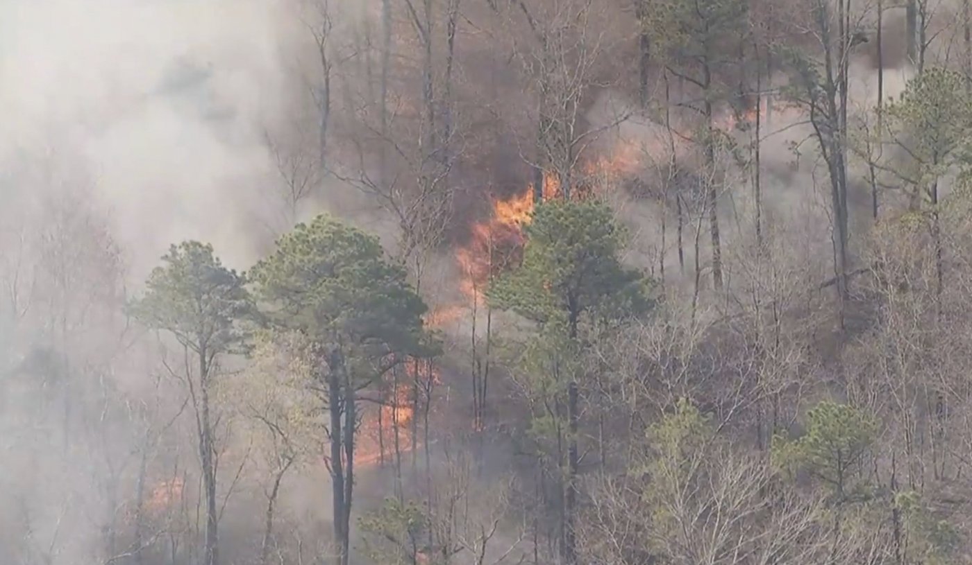 Man charged with arson after authorities say he sparked New Jersey Pine Barrens fire | iNFOnews.ca