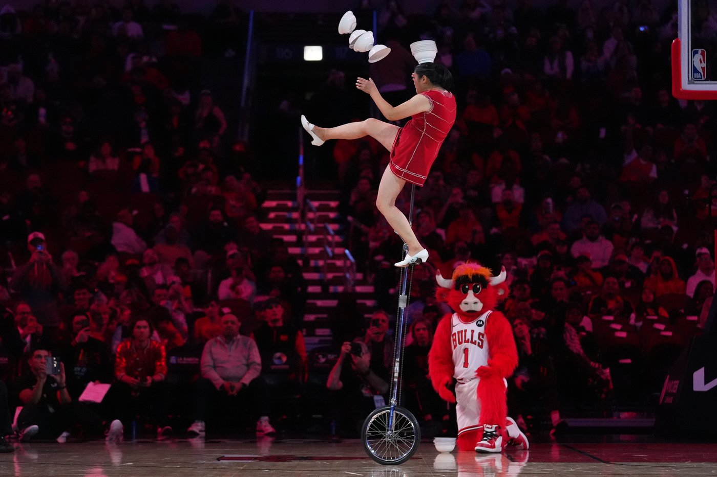Popular performer Red Panda makes NBA return, roughly 4 months after breaking wrist in fall | iNFOnews.ca Popular performer Red Panda makes NBA return, roughly 4 months after breaking wrist in fall | iNFOnews.ca