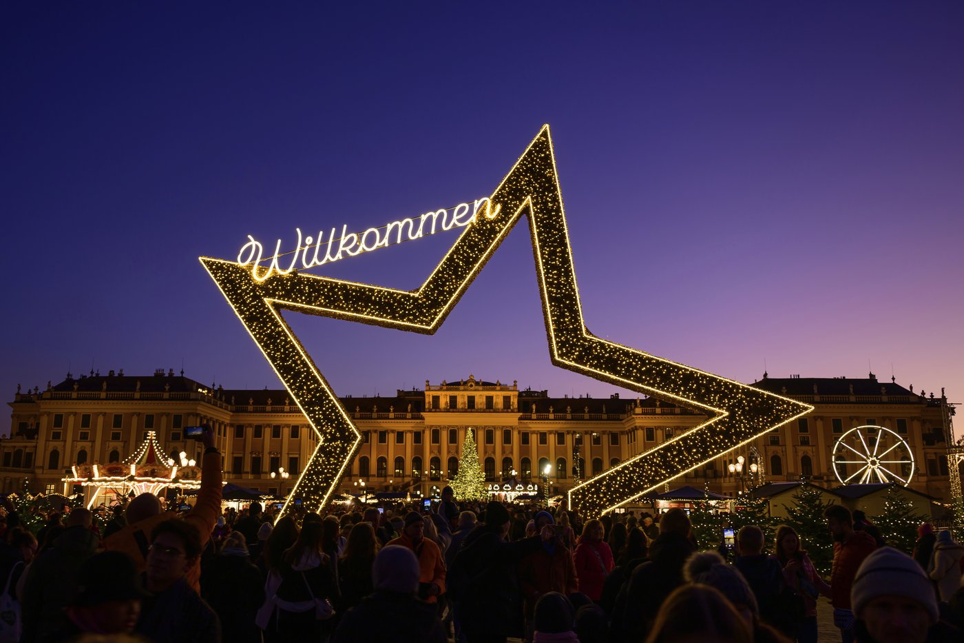 Lighting of Vienna town hall Christmas tree marks start of Yuletide season in Austrian capital | iNFOnews.ca