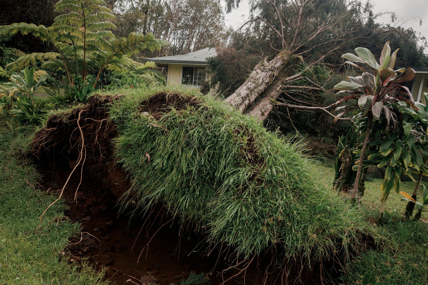 1 death linked to Tropical Storm Lala as more than 100,000 remain without power in Hawaii | iNwheels 1 death linked to Tropical Storm Lala as more than 100,000 remain without power in Hawaii | iNwheels