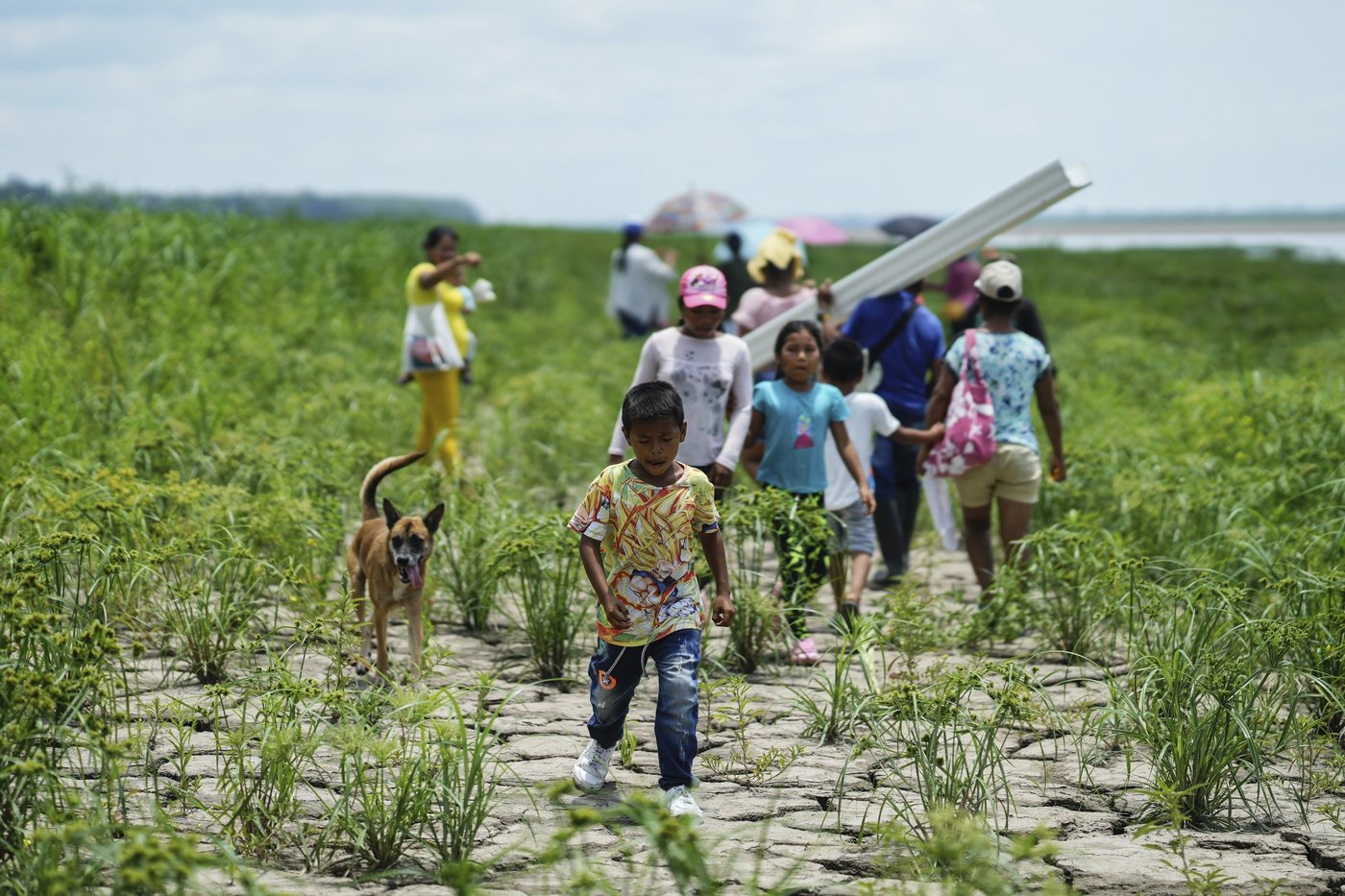Drought, fires and deforestation battered Amazon rainforest in 2024 | iNFOnews.ca