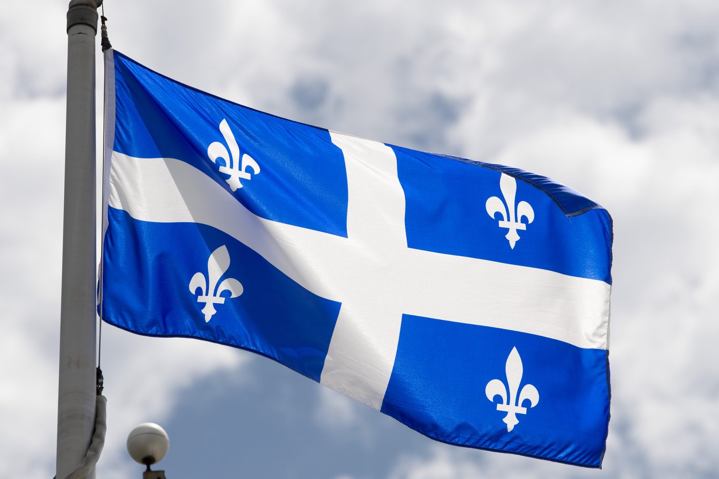 Montreal woman dies from injuries after being struck by falling tree branch | iNFOnews.ca