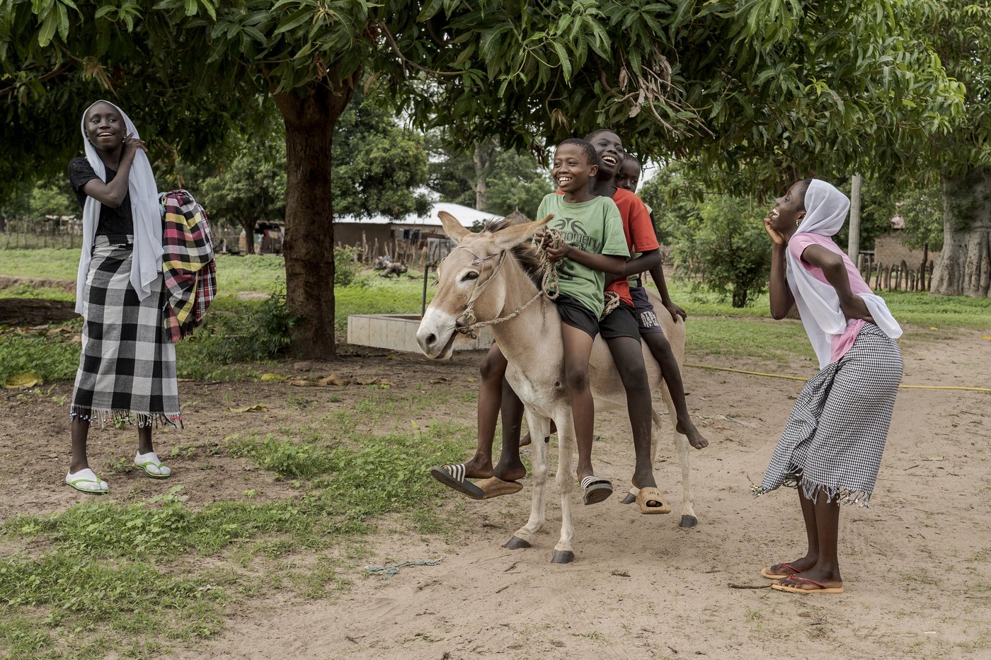 Money Gambians send home from Europe is a lifeline for their families but the sacrifices take a toll | iNFOnews.ca Money Gambians send home from Europe is a lifeline for their families but the sacrifices take a toll | iNFOnews.ca