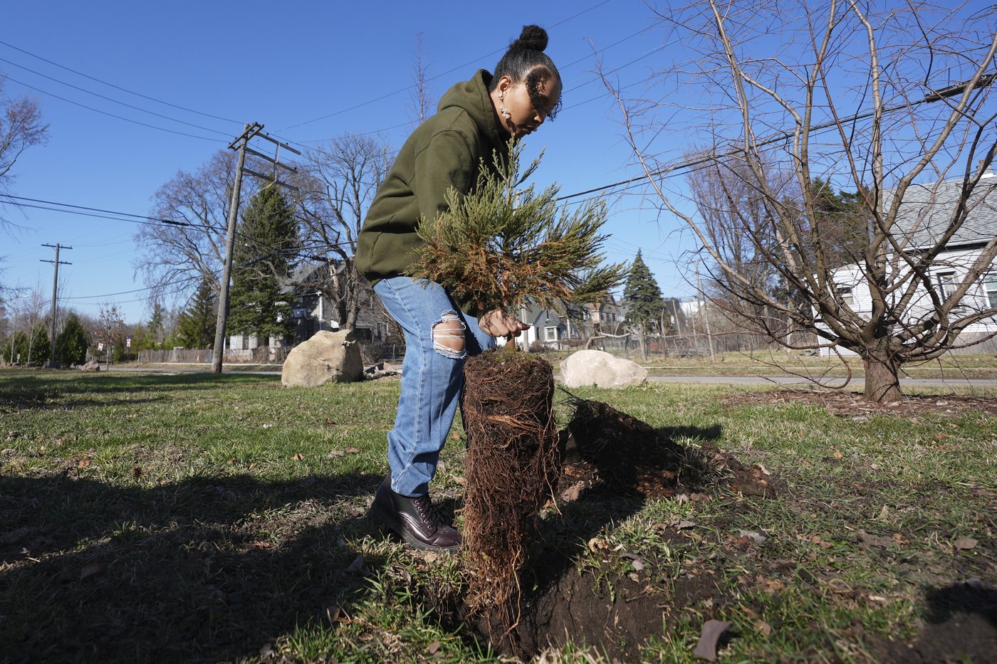 A sequoia forest in Detroit? Plantings to improve air quality and mark Earth Day | iNFOnews.ca