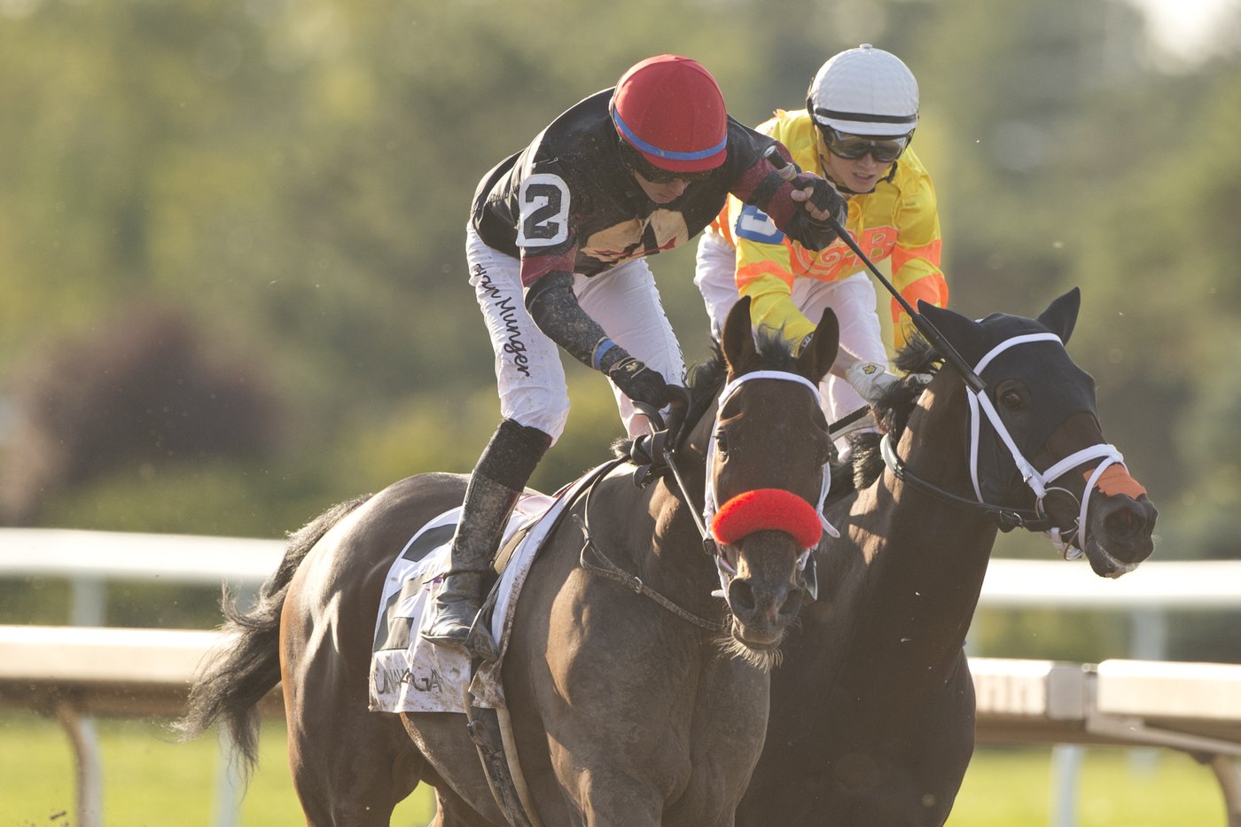 Runaway Again wins Prince of Wales Stakes to spoil Mansetti's Triple Crown bid | iNFOnews.ca