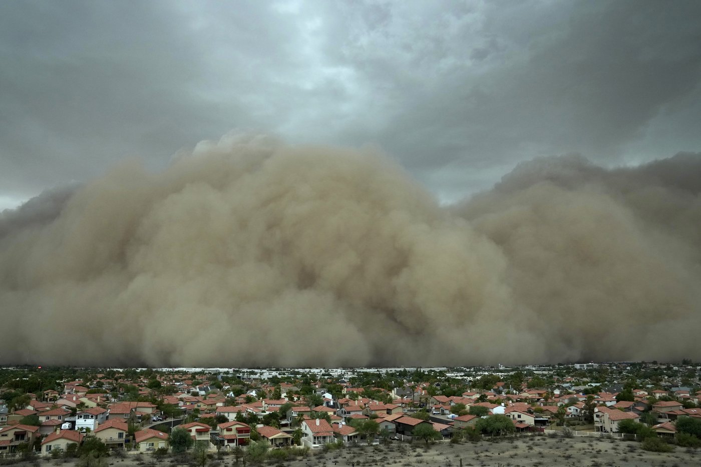 After fearsome dust storm rips Phoenix area, trees cleaned up and power restored | iNFOnews.ca
