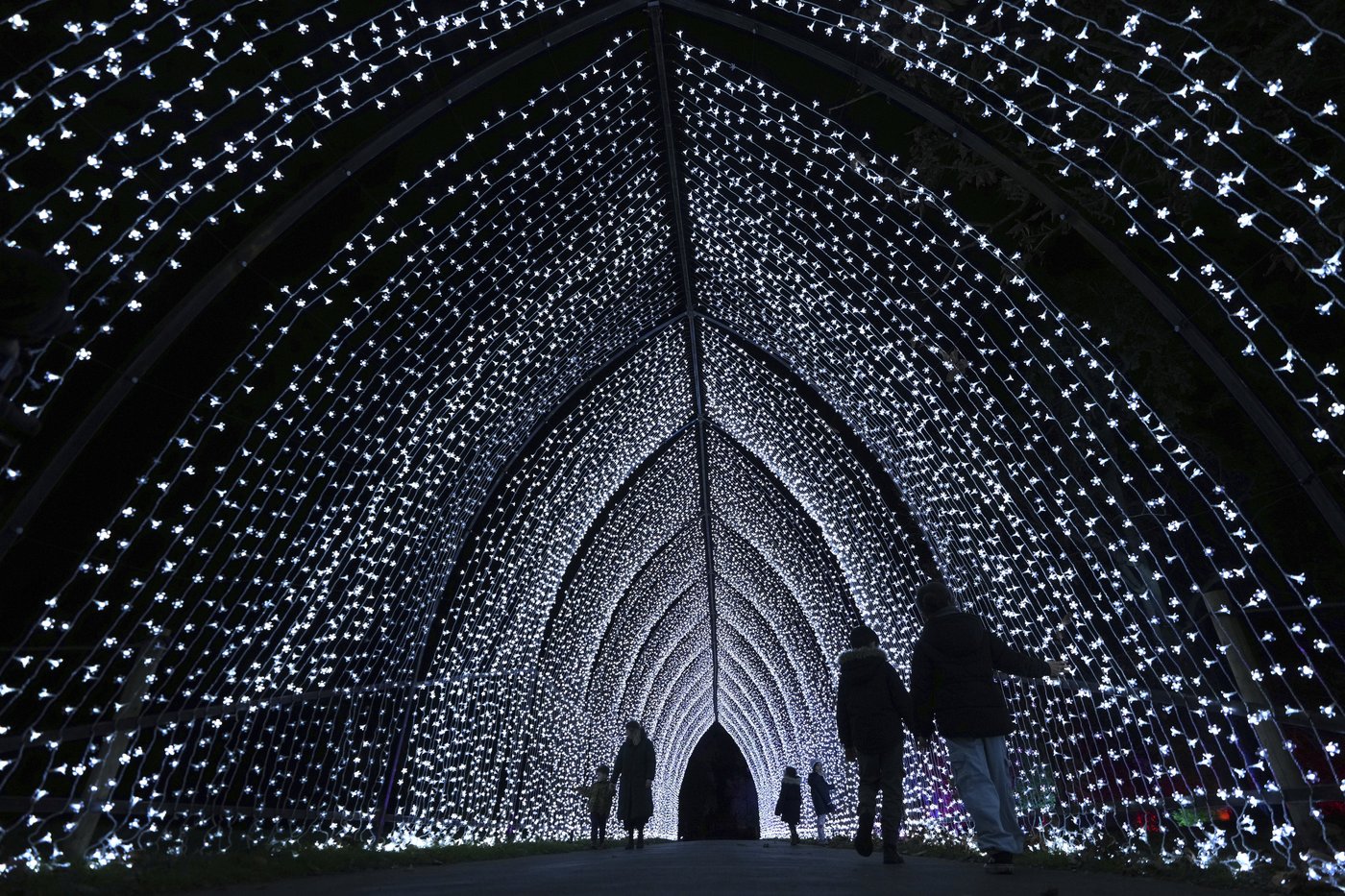 PHOTO COLLECTION: AP Top Photos of the Day, Tuesday, November 12, 2024 | iNFOnews.ca PHOTO COLLECTION: AP Top Photos of the Day, Tuesday, November 12, 2024 | iNFOnews.ca