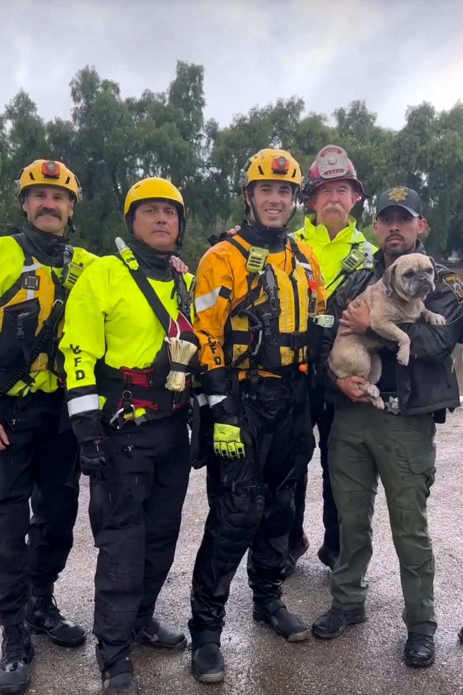 Firefighters rescue stranded pup from rising floodwaters in Southern California | iNFOnews.ca Firefighters rescue stranded pup from rising floodwaters in Southern California | iNFOnews.ca